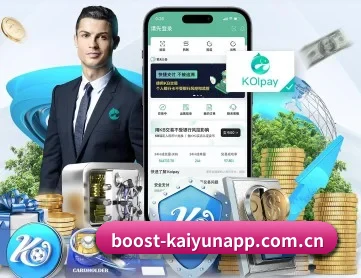 boost-kaiyunapp.com.cn APP 深度功能